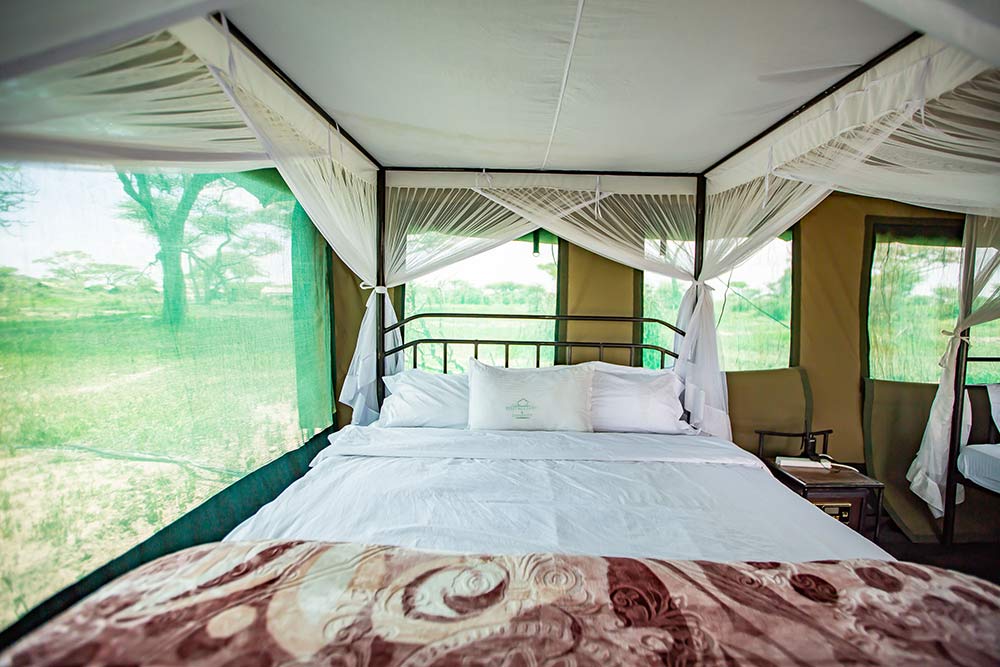 Ndutu Migration Camp image 3